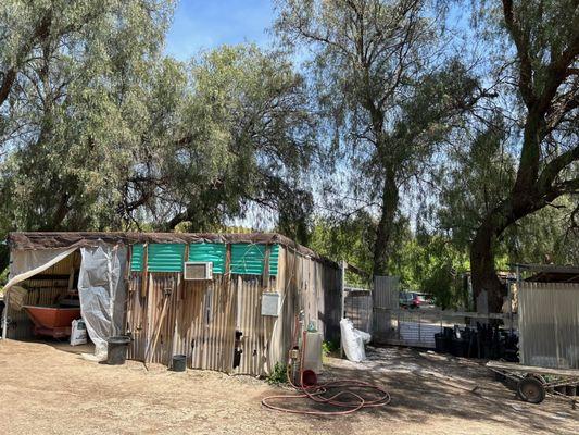 Matilija Nursery