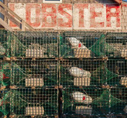 Lobster traps in front of Greenhead Lobster's Stonington bait shed.