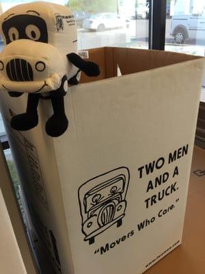 You never know where you will find Truckie around the office!