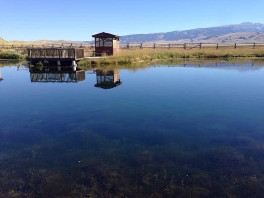 Gorgeous view of Jackson Hole from demonstration pond.