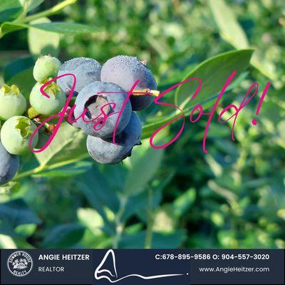 Just Sold!  This 10 acre blueberry farm in Callahan Florida!