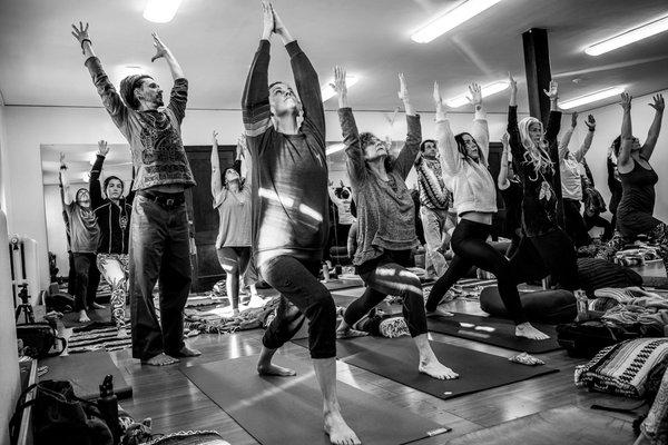 Dedicated Workshops, Retreats, and Yoga Teacher Training