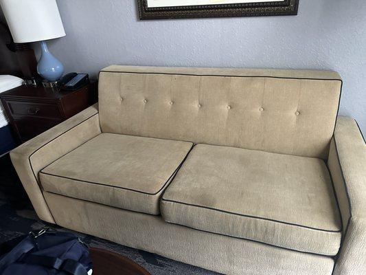 Loveseat/pullout bed