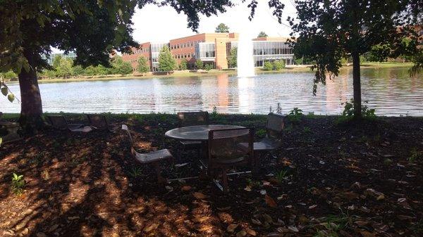 Have a picnic by the pond