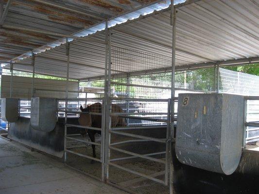 Each stall isolates each horse from direct contact without interfering with socialization or views of the entire facility.