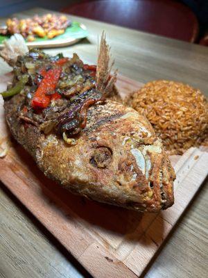 Whole red snapper