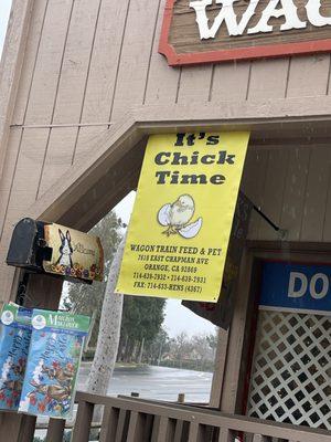 Best place to get chicks!!