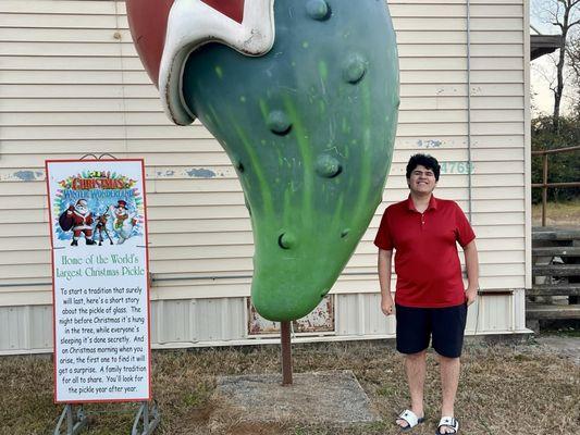 World largest Christmas Pickle.