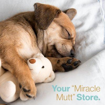 Your "Miracle Mutt" Store.