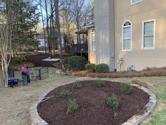 Mulch and plants planting