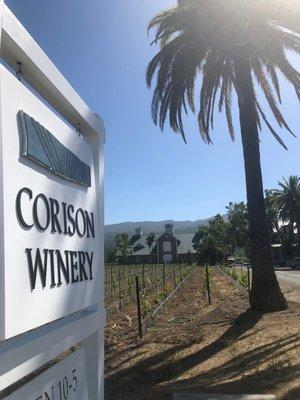 Corison Winery