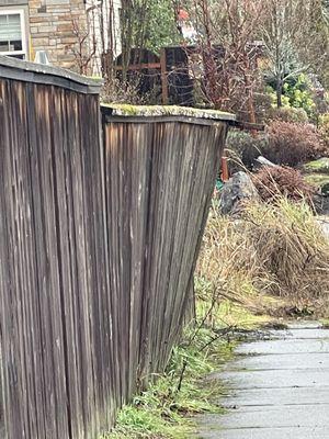 Falling fence