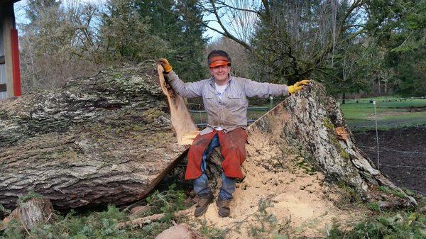 3MB Tree Removal and Logging