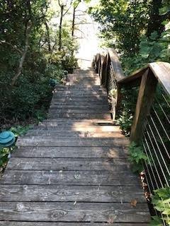 Wood Restoration is one of Dillon's passions.  Clean without marking up the wood surface.