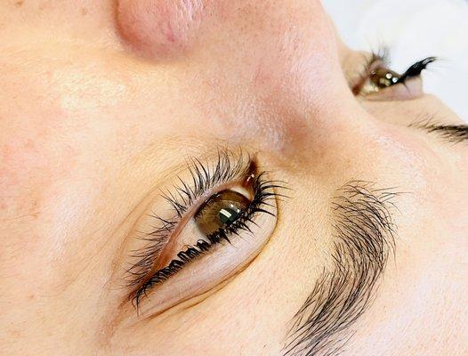 Lash Lift