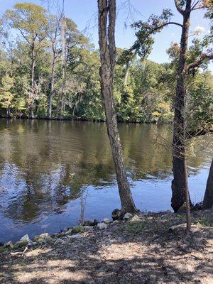 View of the Waccamaw River.