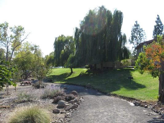 Awesome views of nature- great for hiking too!