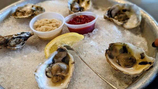 1/2 dz East Coast oysters