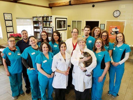 The caring and experienced team of VCA Town and Country Animal Hospital.