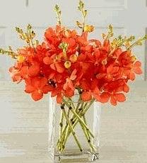 Orange Mokara orchid stems is arranged simply in a modern glass block vase.