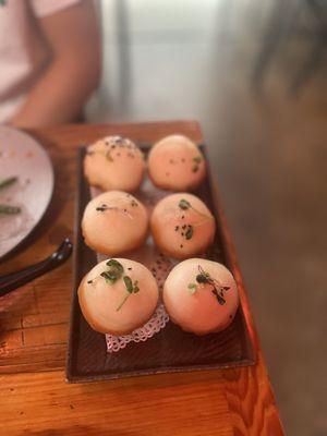 Pan Fried Pork Buns