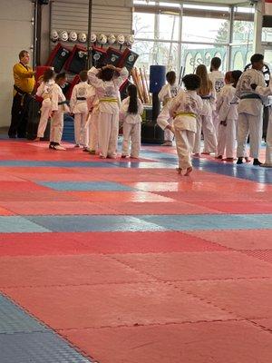 Taekwondo lessons for all ages