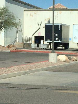 Drop off area behind the building