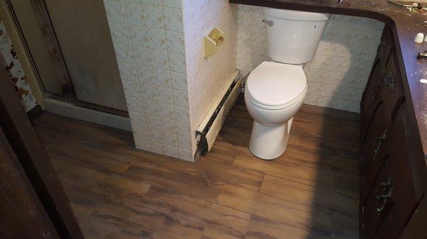 New tile & toilet!