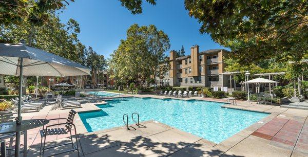 Pool and Lap Pool