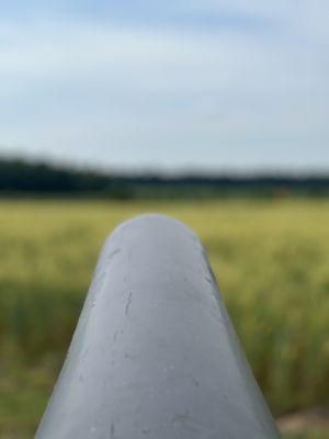 Malvern Hill Battlefield Park