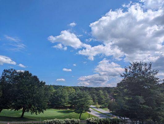 Patio view is hard to beat