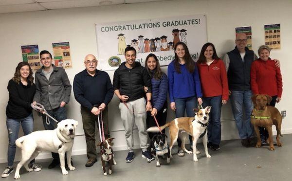 Graduating group class at What An Obedient Dog! Very well behaved dogs.