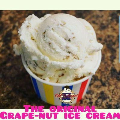 Best homemade ice cream Gainesville Florida