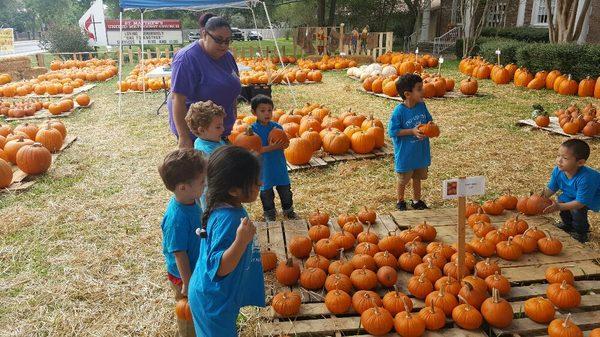 Pumpkin patch 2016