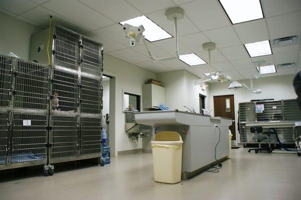 Treatment room - Where patients recover from surgery and hospitalized patients stay.