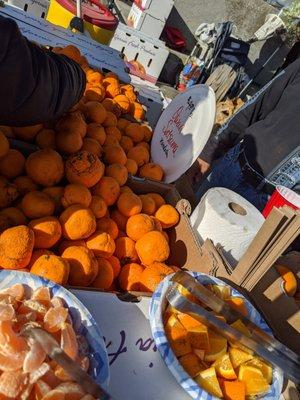 Mandarins, shelter in place