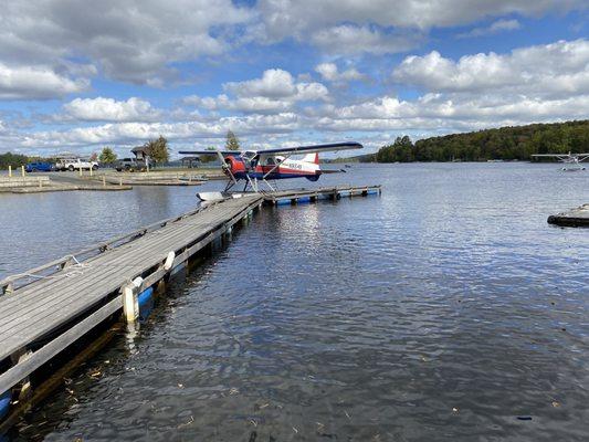 The plane a de Havilland Canada DHC-2 Beaver