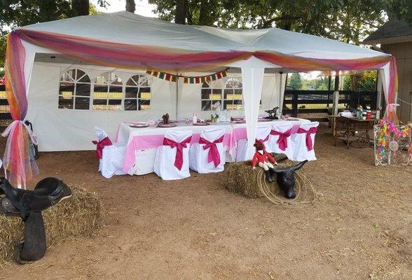 10x20 tent,table cloths and chairs with chair covers,paper ware,food,cake...all included