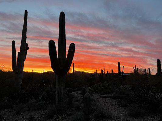 City of Tucson