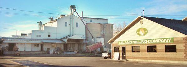 Leland Mills