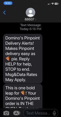 Domino's Pizza