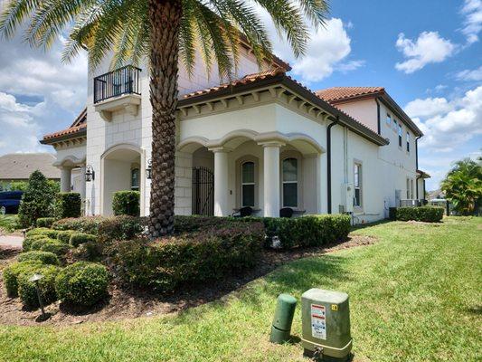 Landscape bed with multiple maintained shrubs and palm tree.