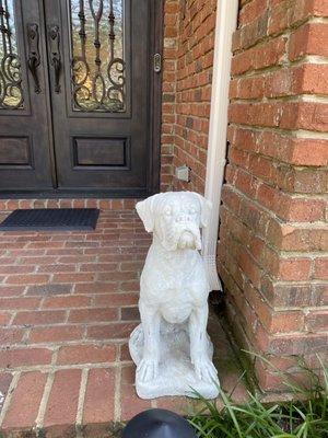 Boxer dog statues. I love these.