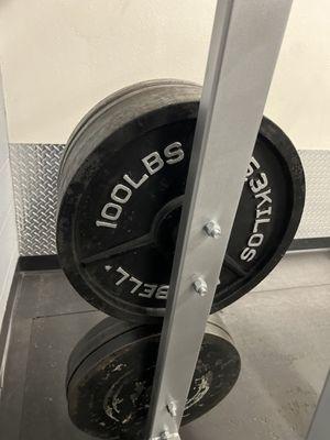 100lbs plates! Now that's serious business