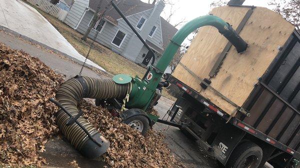 Leaf clean up