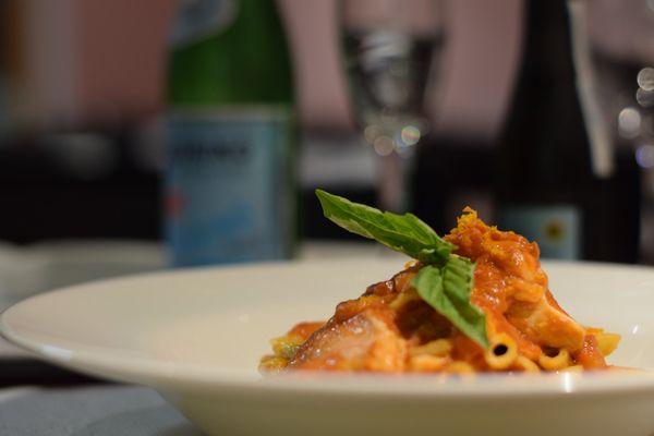 Penne al Salmone
 Salmon, fennel, fresh tomatoes, tomato sauce, orange zest and mascarpone cheese.