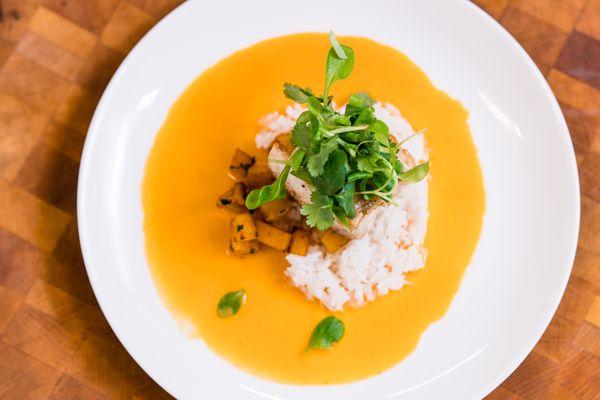 Chilean Sea Bass Red Thai Curry, Jasmine Rice, Coriander-Roasted Butternut Squash, Mâche, Cilantro