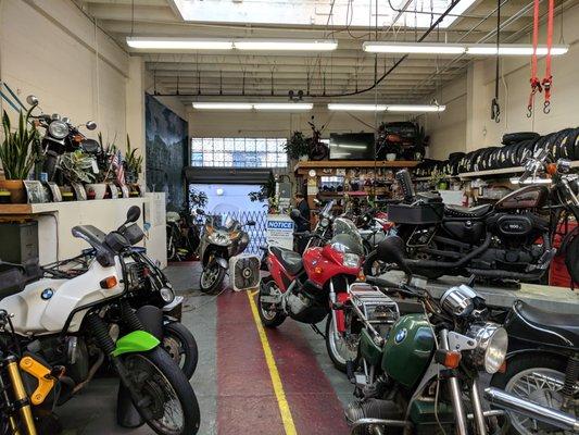 Lots of great bikes here! Enter from the rear of the shop from Willow Street alley.