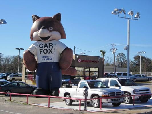 Grand opening at new location.  Joined by the Carfox.