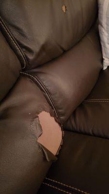 It the holes in the crappy material of the couch